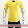 Đồng phục quần áo bóng đá Trường THCS Đặng Trần Côn